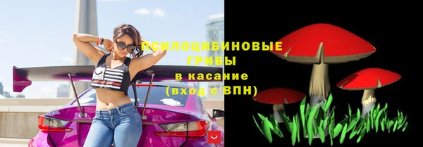 спайс Беломорск