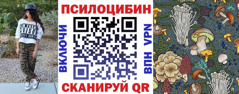 купить наркоту  Навашино  нарко площадка телеграм  Псилоцибиновые грибы MAGIC MUSHROOMS 